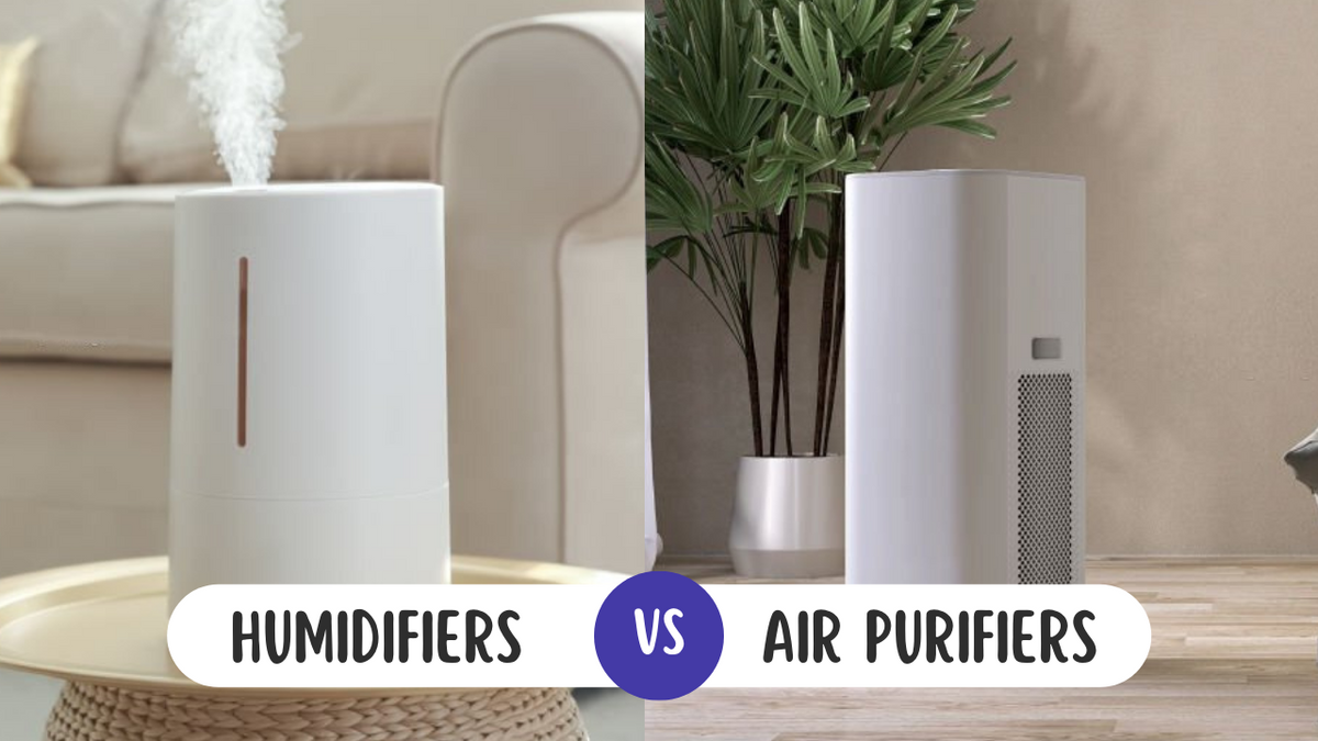 What Is Better For Allergies - Humidifier Or Air Purifier 